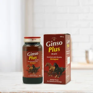 Ginso Plus Malt